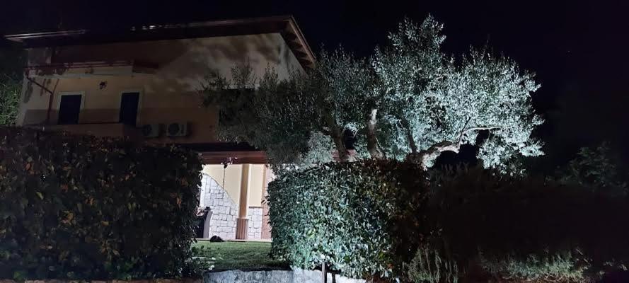 B&B Stazione La Reggia Caserta Eksteriør bilde